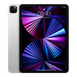 iPad Pro 12.9 2021 (256GB  Wifi Серебристый)